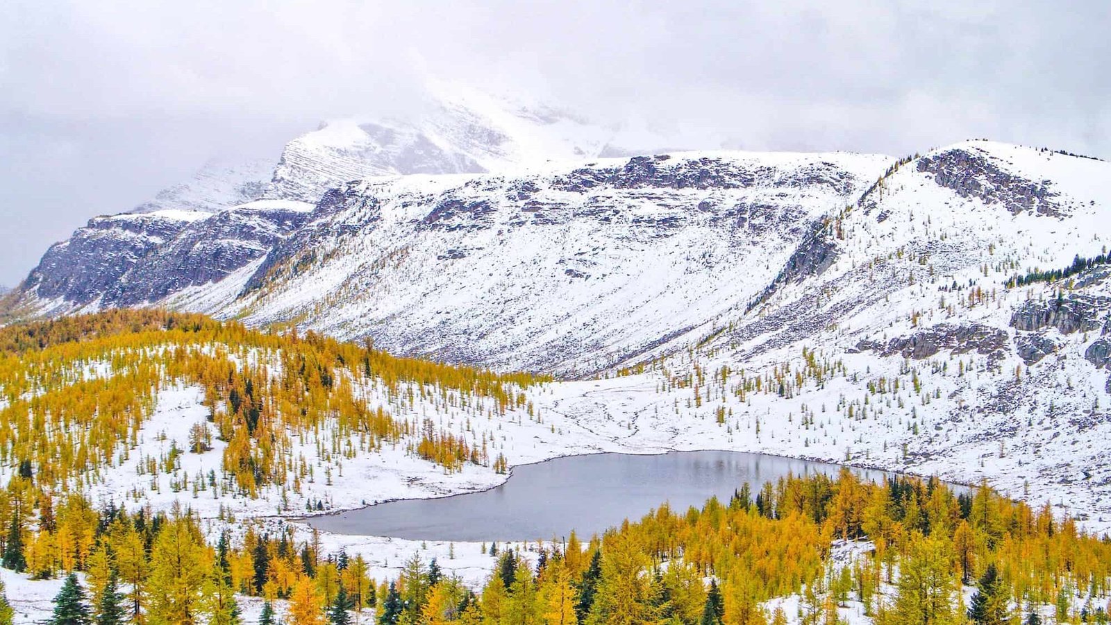 Banff-Hikes-Healy-Pass-Snow-Larch-Season